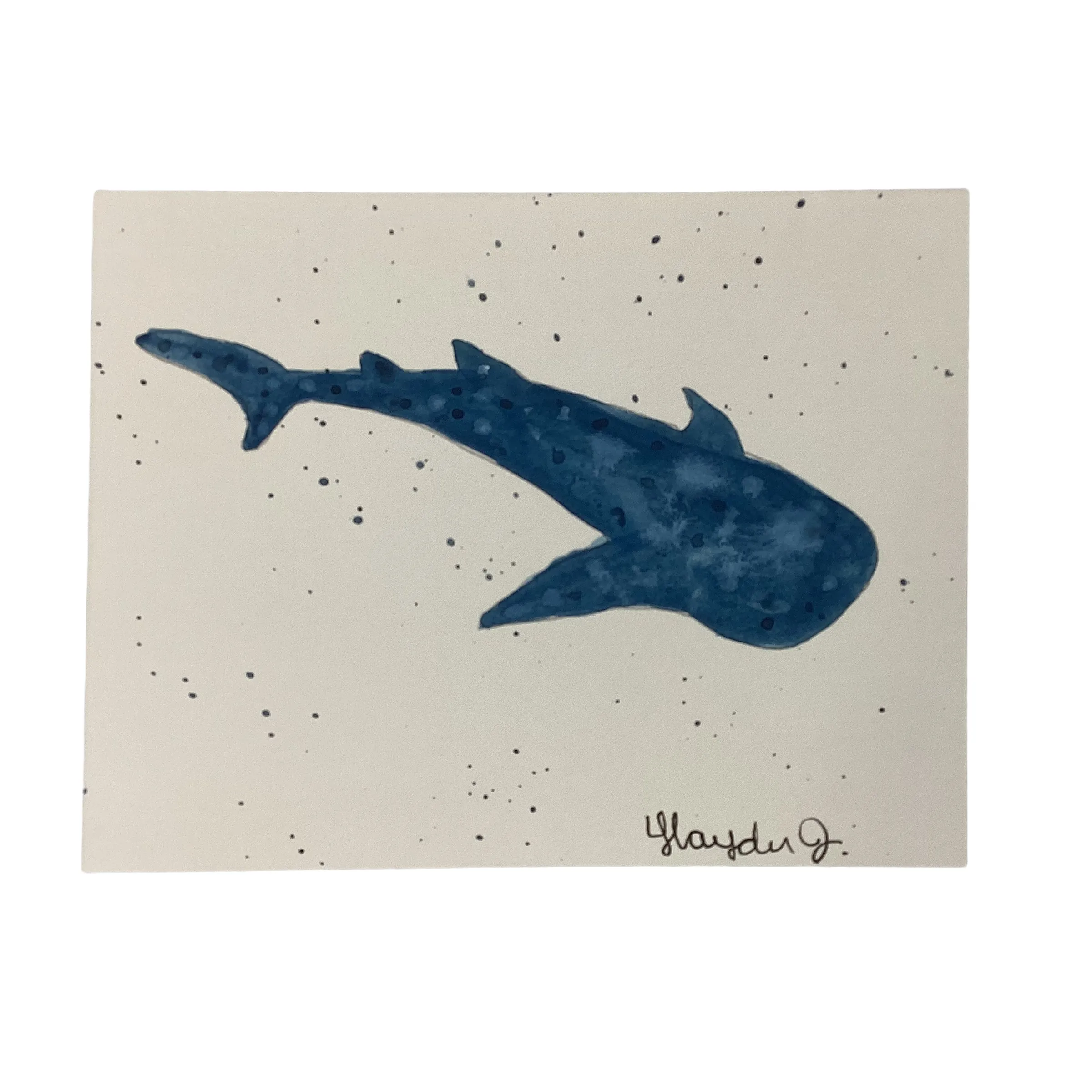 4.25"X5.5" SHARK Postcard