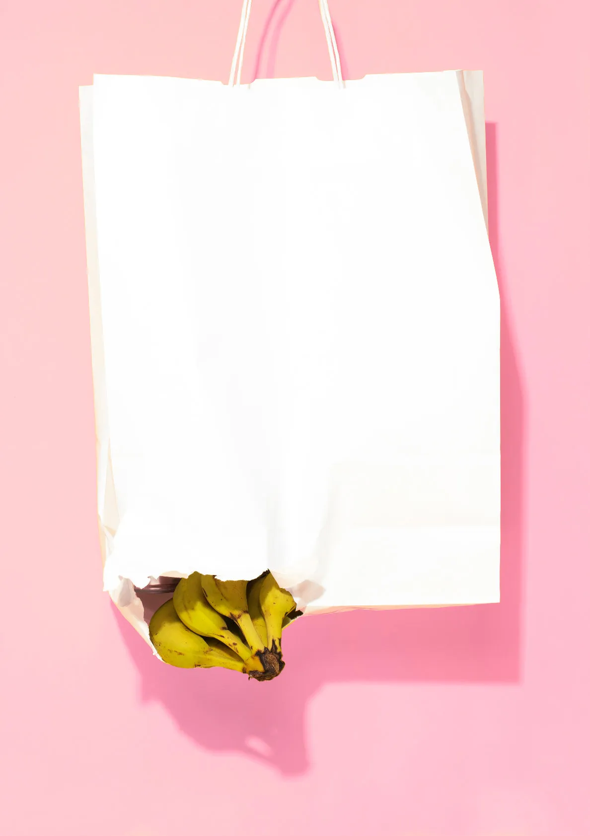 Bananas in shopping bag / pop art style photo print