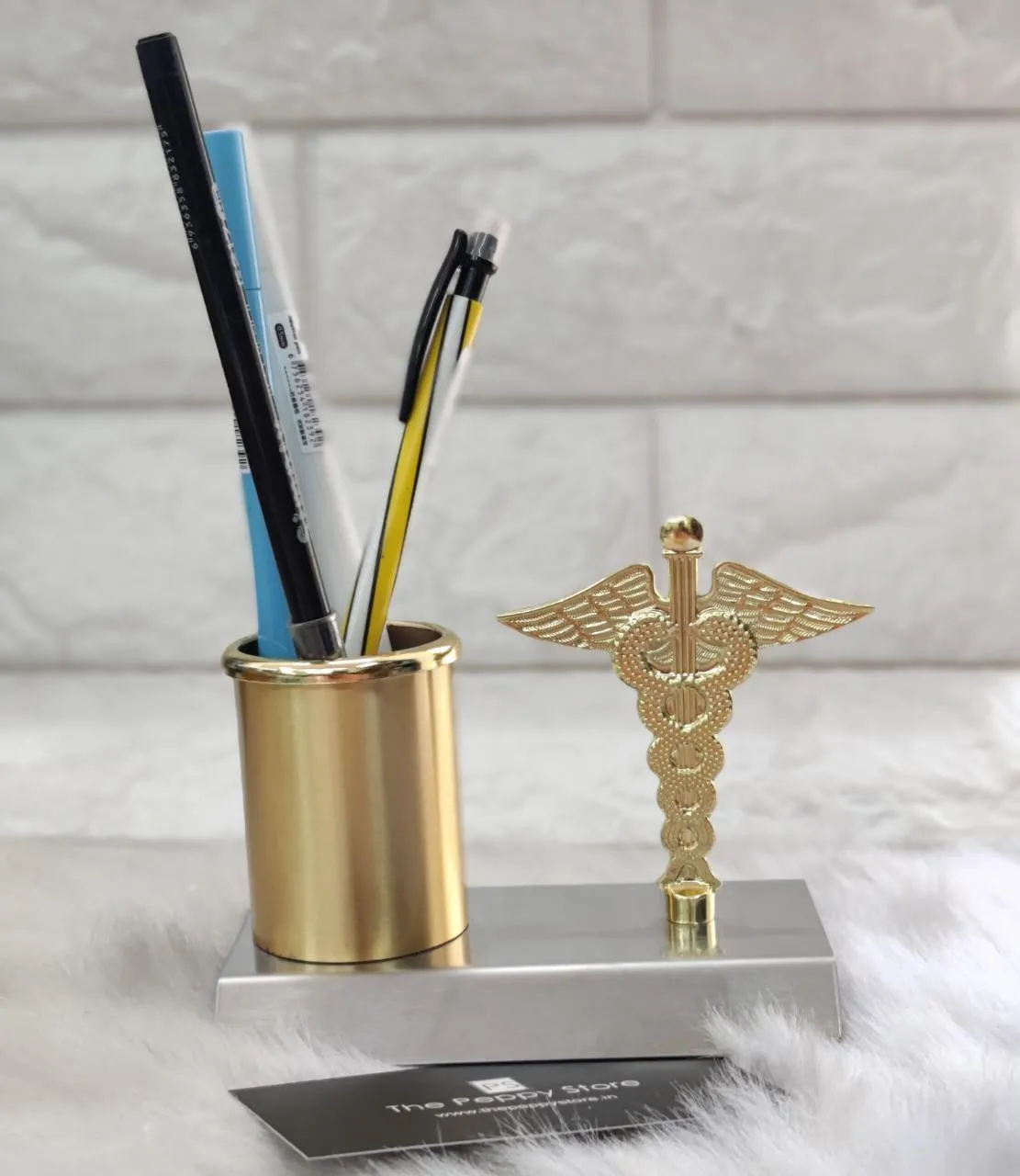 Doctor Logo Penstand